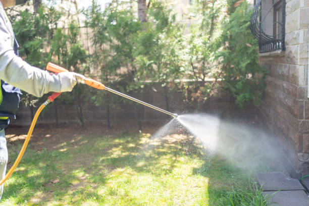 Indoor Pest Control in Rochester, IN